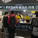 아이바푸드코트 | 2025원더리벳 / 로젤리아 내한 후기