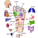 지압 - 면역력 업! 손·발 건강 지압법 이미지