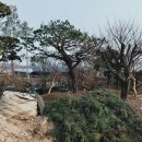 상록 농장 이미지