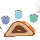 24시 스탠다드 동물의료센터 이미지
