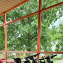 수다1교 이미지