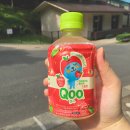 일본 후쿠오카 자유여행(2), 동식물원 · 모모치해변 ·오오야마 모츠나베, 겐카이마루, 산큐패스
