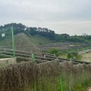 한국전기 태양광발전소 이미지