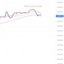 오션파라다이스(봉6) 이미지