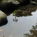 핀란드빌리지 이미지