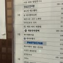 불당동 프로필사진 포토시안 : 내 안의 숨겨진 분위기까지 찾아준 찐 만족 사진관 후기