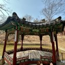 용일장 이미지