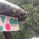 수산뜨락 이미지