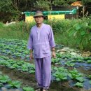 오배추