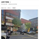 황금고블린 이미지