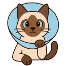 동물병원 비아츠 이미지