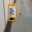 캣카페 집사의하루 분당점 | 고양이카페, 캣카페 집사의 하루 분당점