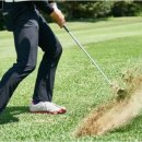 방배휘트니스클럽 이미지