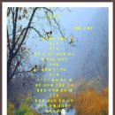 광장39호 이미지