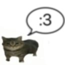 ㅠ_ㅠ
