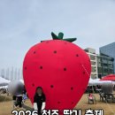 계룡농업기술센터본관 | 2026 제1회 청주 딸기축제 달콤상생 페스티벌 문화제조창 다녀온 후기