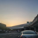 오라셀세모 이미지