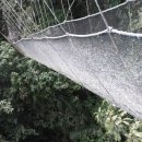 웰컴캐노피 이미지