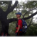 산에산에춘천닭갈비 이미지