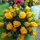 가나화원 이미지