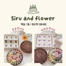 군포떡집 | [시루앤꽃] 군포 산본 시루앤꽃 감사한 백일떡 후기