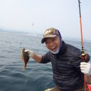 (주)도우 이미지