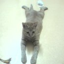 버스정류장 07-016 이미지