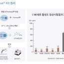 둔산라파엘의원 이미지