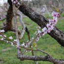 덕진마을 이미지