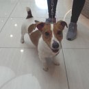 애나동물병원 이미지