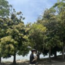 쭈니와비니 이미지