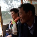 김자오 Daum카페