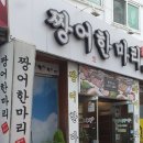 짱어한마리 이미지