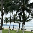 호텔야호(투) 이미지