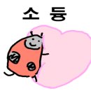 유어라이트