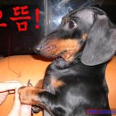 따봉 이미지