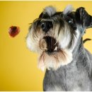 은계동물병원 이미지