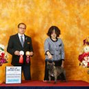 Jena house 이미지