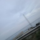 바다새민박 | 영덕의 애견동반 바다새 펜션 여행후기