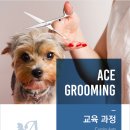 에이스애견미용학원 이미지