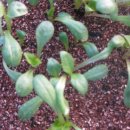 스무고개 이미지