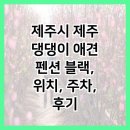 제주댕댕이애견펜션블랙 | 제주시 제주 댕댕이 애견 펜션 블랙, 위치, 주차, 후기