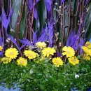 성전2호 이미지