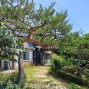플러스마트SK점 이미지