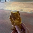 구래동 술집 추천 숙성회가 맛있는 구래동 이자카야 로바타연 후기