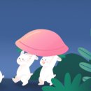 시청정약국 이미지