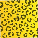 안병두치과의원 | 세라믹교정, 가장 효과적인 치아 교정 방법 5가지 비교하기