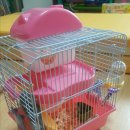 나는펫이다 이미지