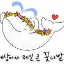 가온건설안전 이미지