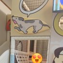 청도엘라고키즈풀빌라 이미지